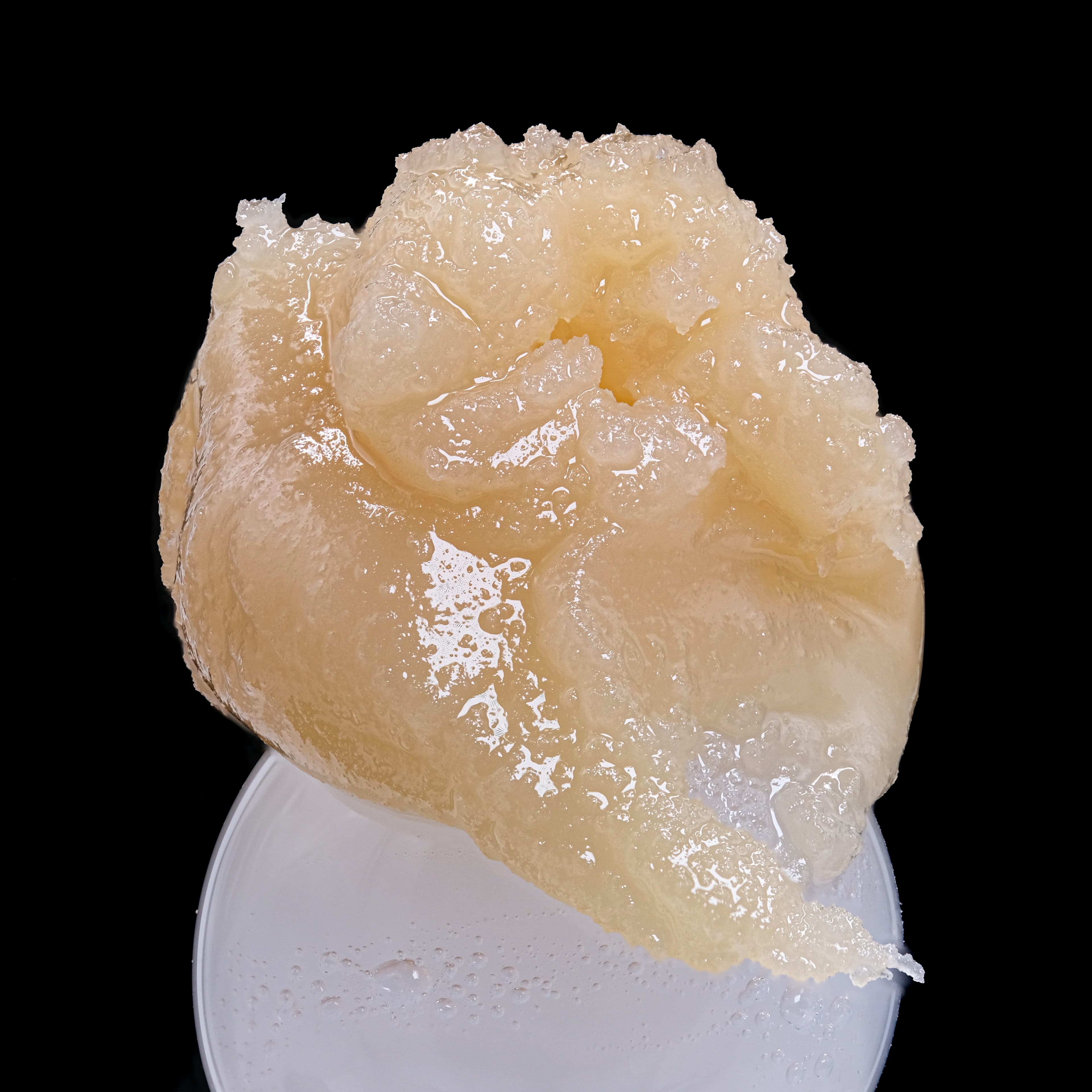 Albariño — Sativa