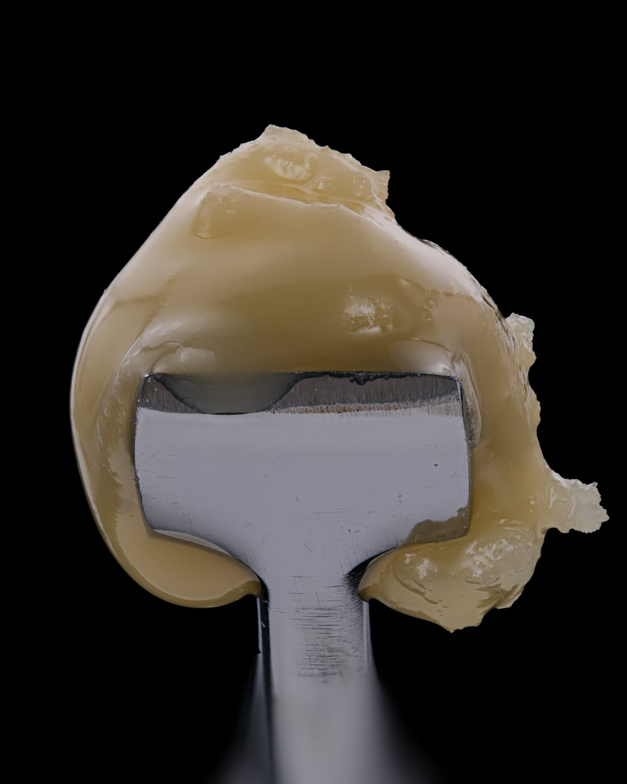 The Vision — Hash Rosin